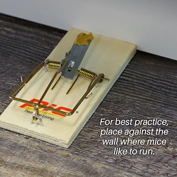 PIC Wood Mouse Traps, 4 Count