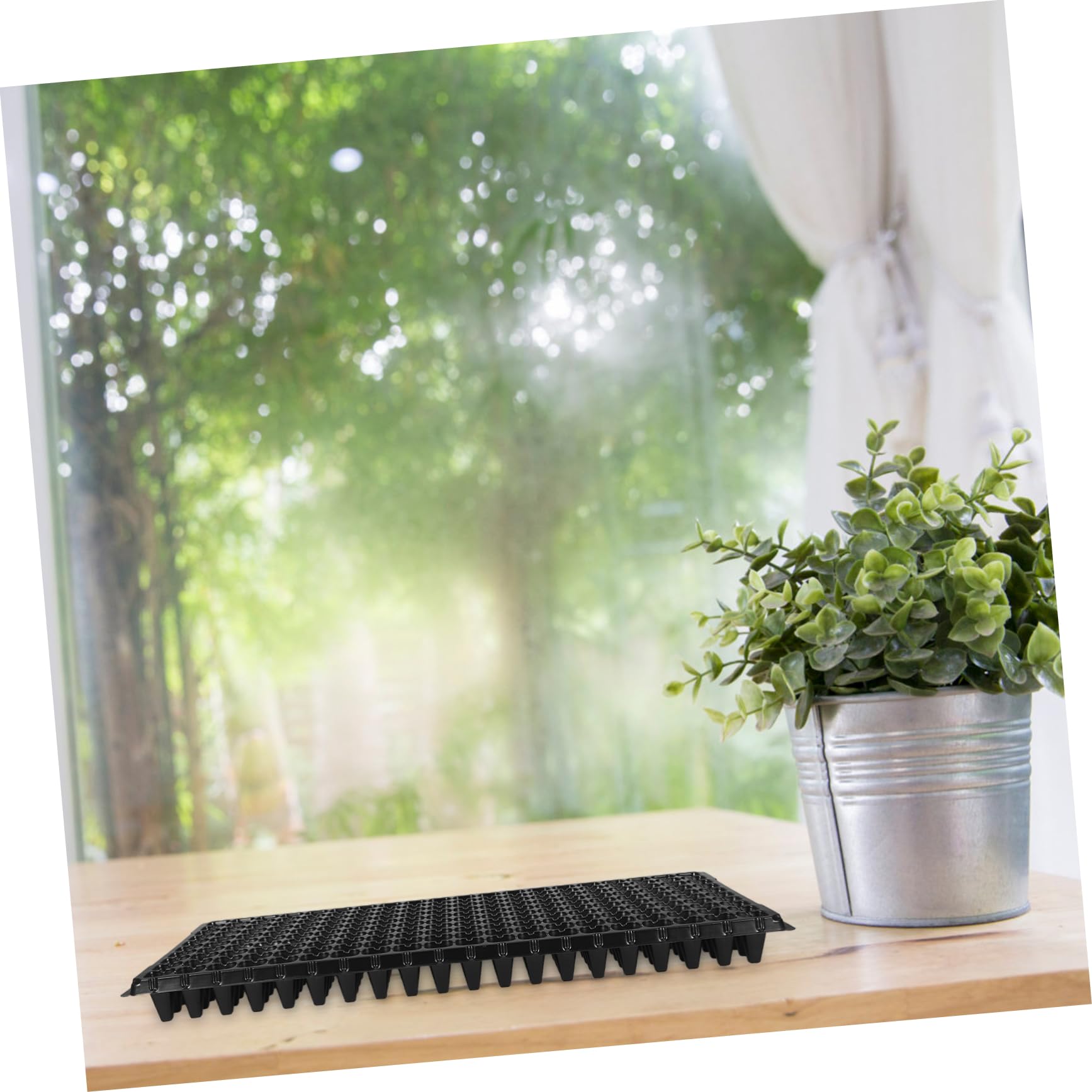 Abaodam Plateau de Semis 10 Pièces 200 Cellules PVC Noir pour Jardinage