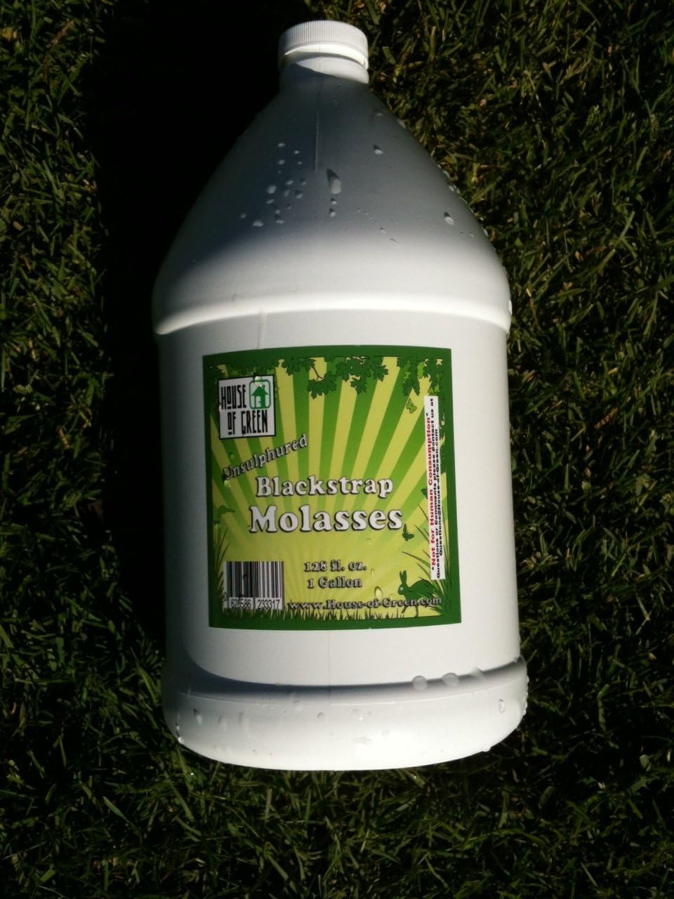 1 Gallon Unsulphured Blackstrap Molasses Fertilizers Patio, Lawn & Garden