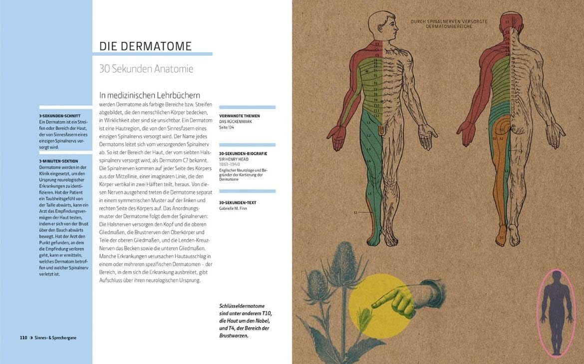 Anatomie und Medizin in 30 Sekunden: Die 100 wichtigsten Ideen und Behandlungen für den menschlichen Körper