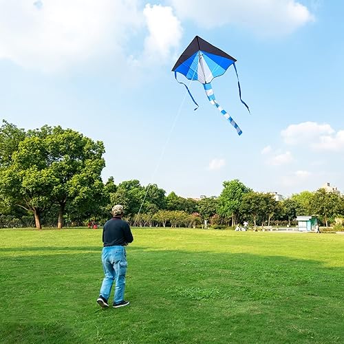 Miniatura 3 de Delta Kite for Beginners Toddlers