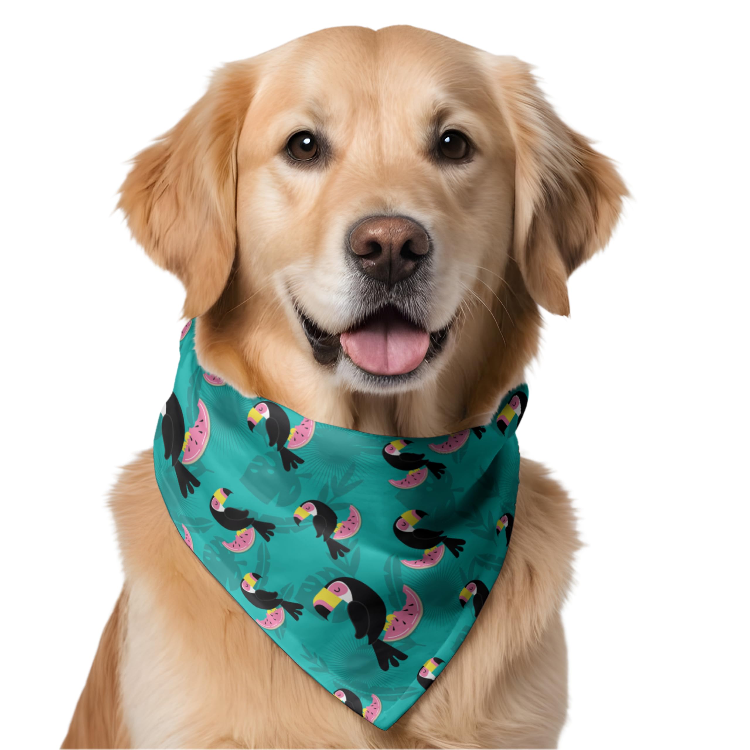 See full amazon price history chart for W Brings Toucans with Watermelon Dog Bandana/Scarf | This Stunning Gorgeous Design Dog Bandana Scarf is Perfect Styling Accessory for Dogs Large, Medium & Small. One Size Fits All. W Brings Toucans with Watermelon Dog Bandana/Scarf | This Stunning Gorgeous Design Dog Bandana Scarf is Perfect Styling Accessory for Dogs Large, Medium & Small. One Size Fits All. (B0BPQRNYNZ) Amazon Price History, Amazon Price Tracker