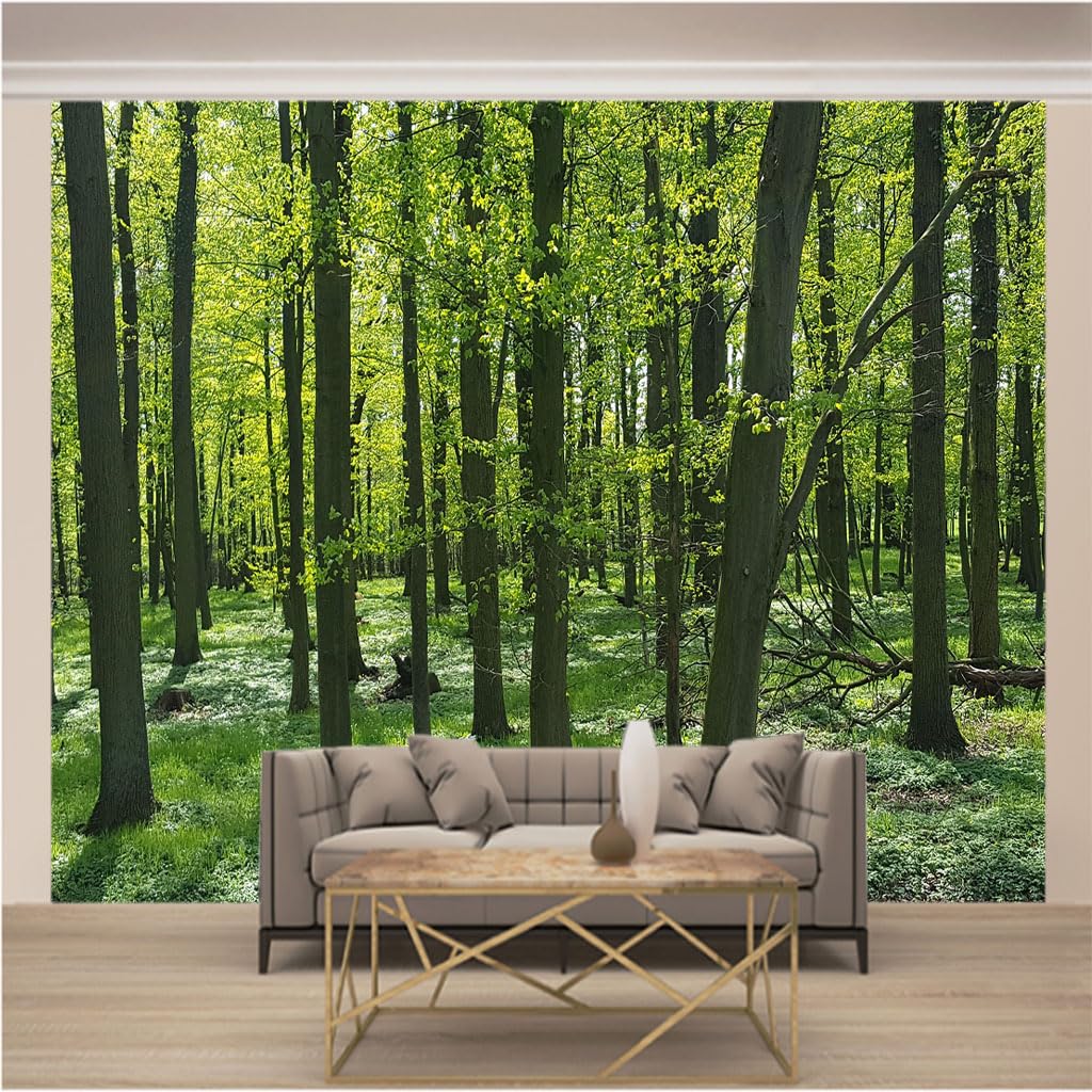Papier peint panoramique trompe l'oeil 3D bois vert intissé salon chambre XXL