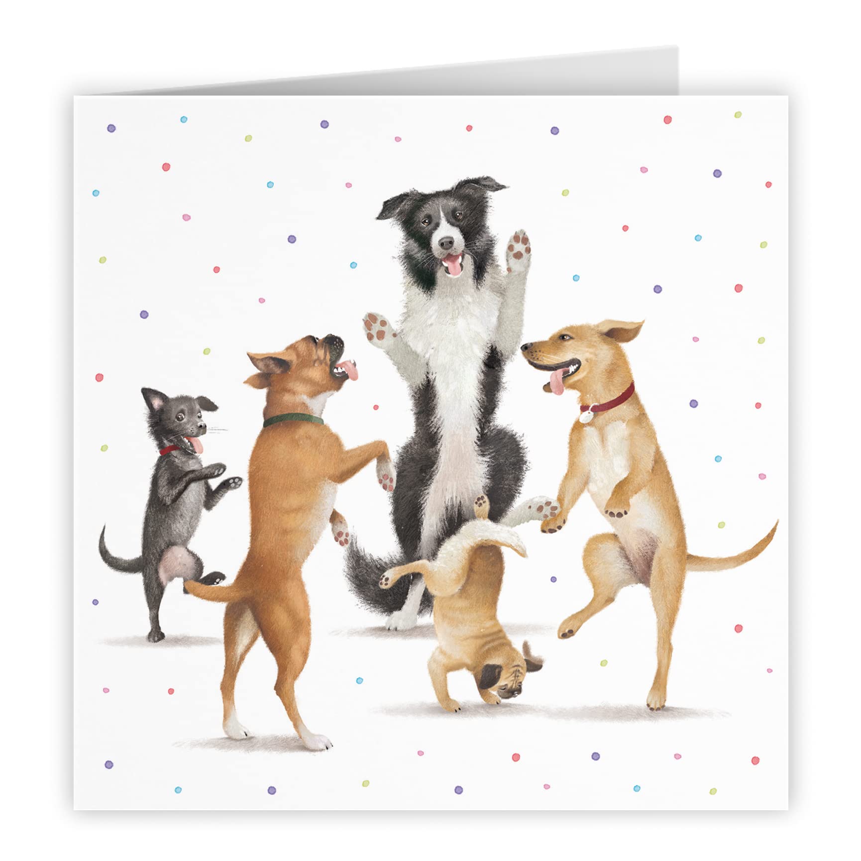 Hunts England Blank Any Occasion Card For Him Or Her, Dancing Dogs, Dogs All Occasions Blank Card for Men Women, Boys, Girls - Image 2
