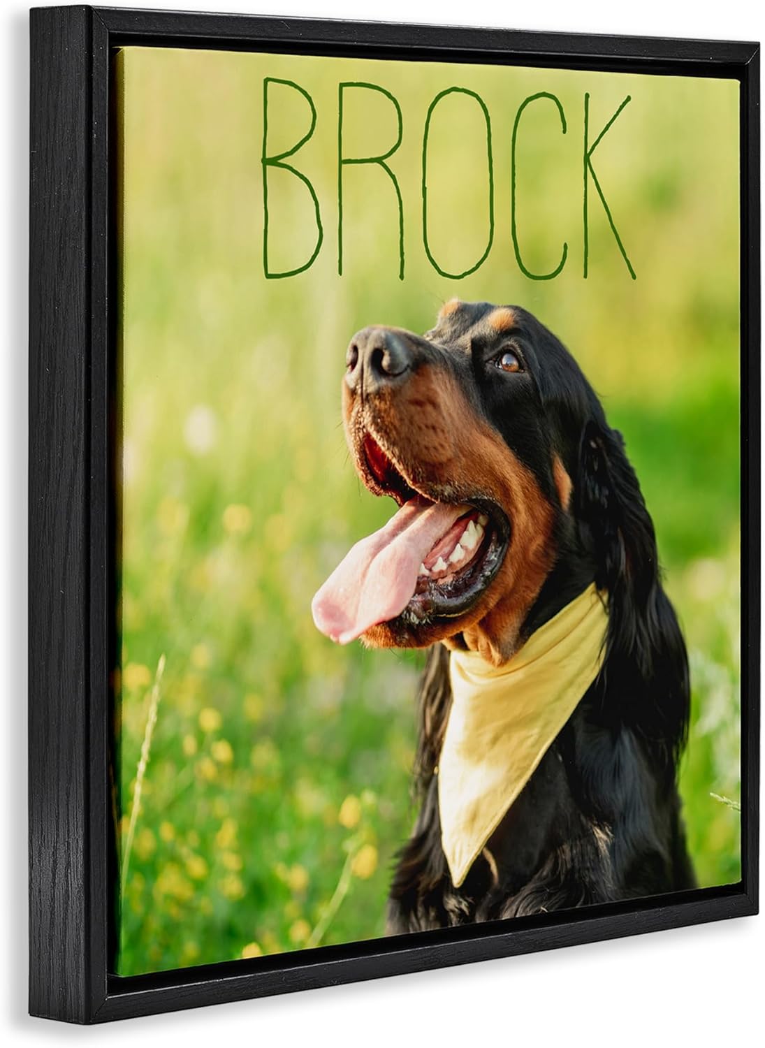 Stupell Industries Pet Personalized Custom Print and Text Square Black Floater Framed Wall Art