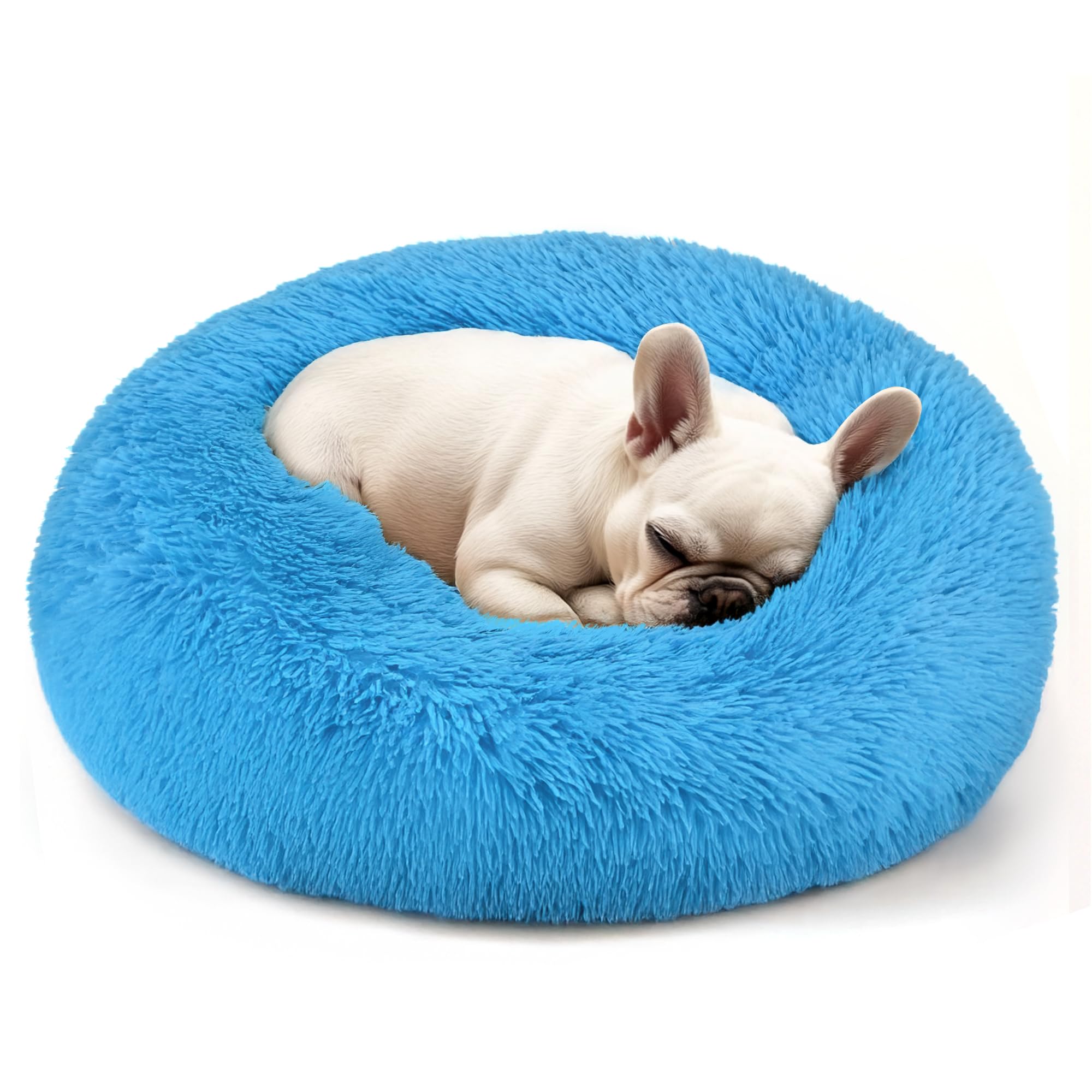 Hoewina Dog & Cat Bed, 20in Cat Beds for Indoor Cats, Calming Donut Bed for Puppy and Kitten, Washable Round Fluffy Pet Bed for Small Medium Dogs and Cats (Light Blue)