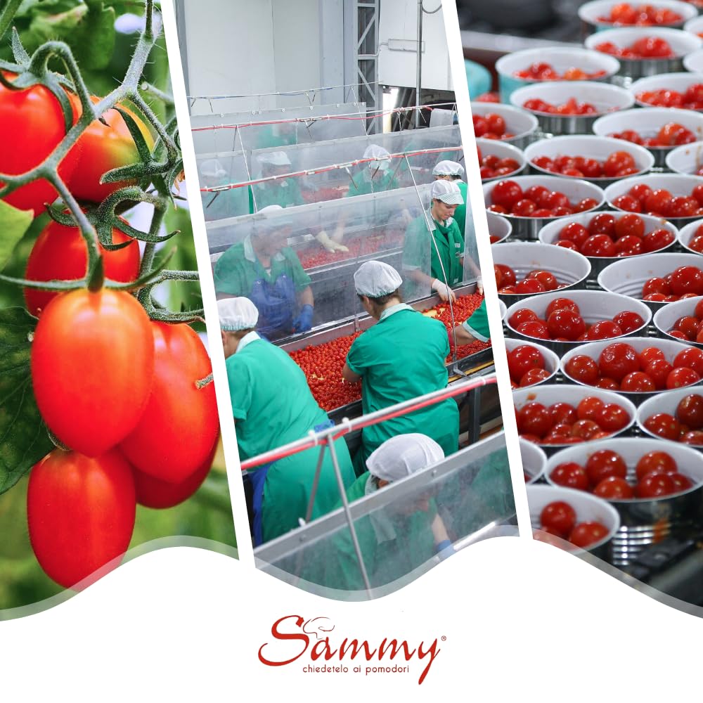 SAMMY - I Datterini Pelati, Pomodorino Datterino Pelato in Succo di Pomodoro, 100% Filiera Italiana, Gusto Dolce e Intenso, 12 Pezzi in Latta da 400gr