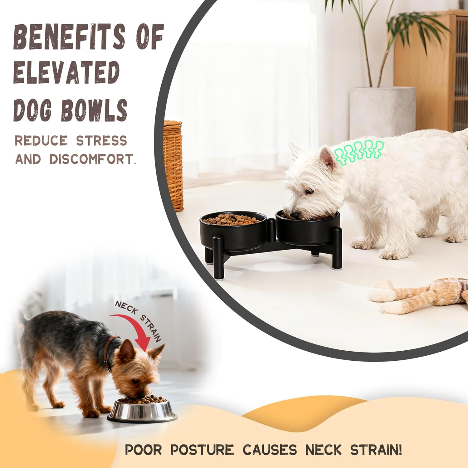 Raised Ceramic Dog Bowl Set - Elevated Double Dishes with Stainless Steel Stand - Food and Water Bowls for Small Dogs and Indoor Cats - Each Holds 1.6 Cups (10.8 fl oz) - White