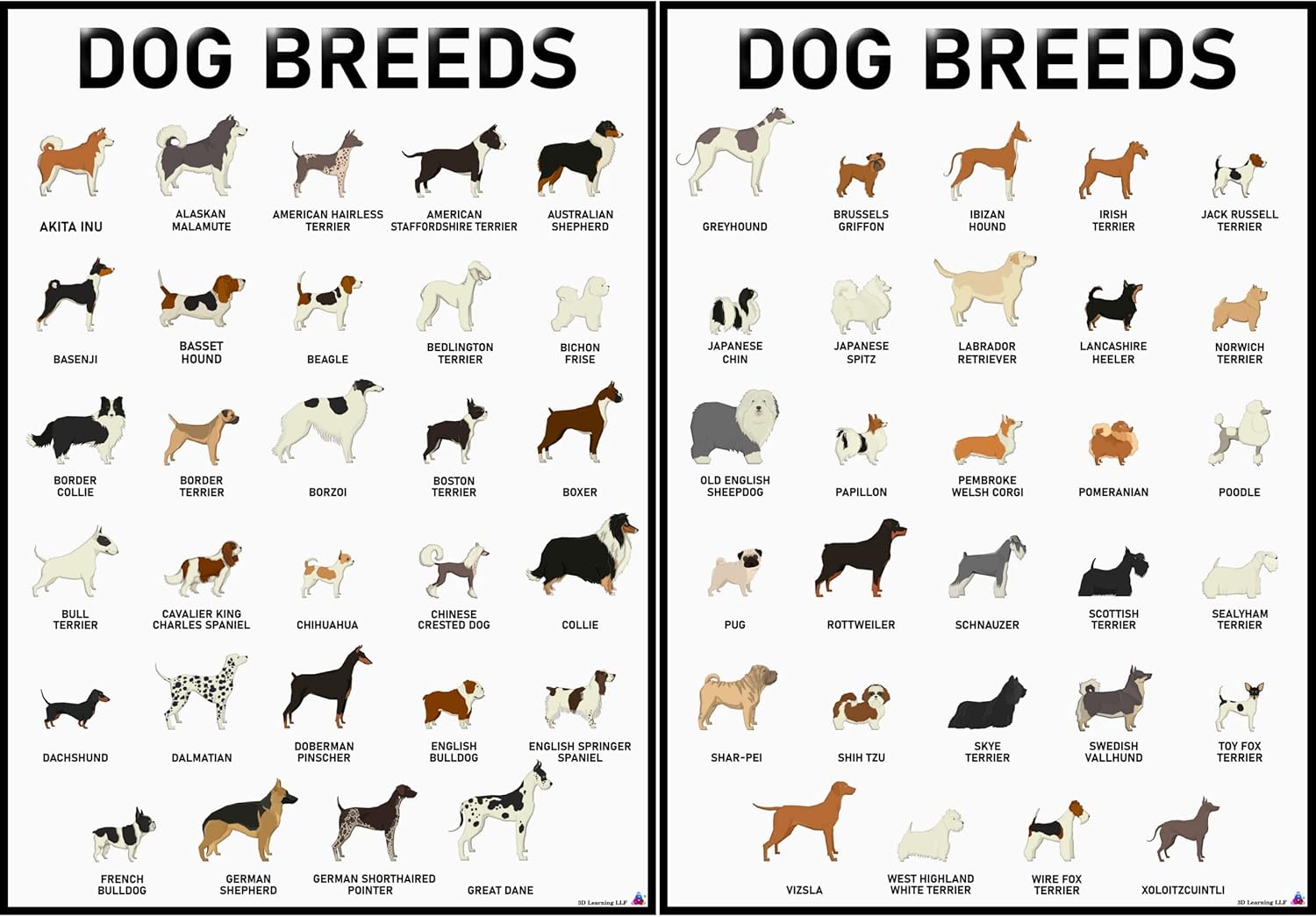 Educational 3D Dog Breeds Posters Set 58 Breeds Kenya Ubuy