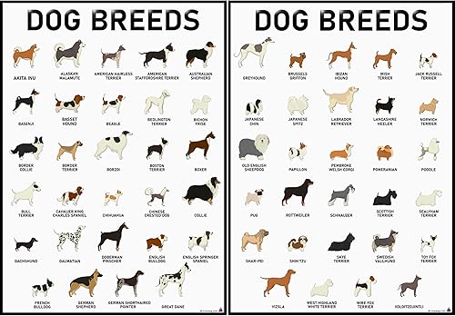 Miniatura 1 de 3D Learning LLF Juego de carteles de razas de perros, 58 razas para amantes, arte de pared profesional y decoración para dormitorios, clínica, aula