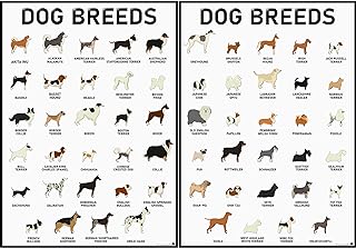 3D Learning LLF Dog Breeds Posters Set – 58 Dog Breeds for Dog Lovers, Veterinarians, Dog Walkers – Dog Design Wall Art and Wall Decor for Bedrooms, Vet Clinic, Classroom, Kids Room Decoration