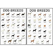 3D Learning LLF Dog Breeds Posters Set 58 Breeds for Lovers, Professionals Wall Art & Decor for Bedrooms, Clinic, Classroom