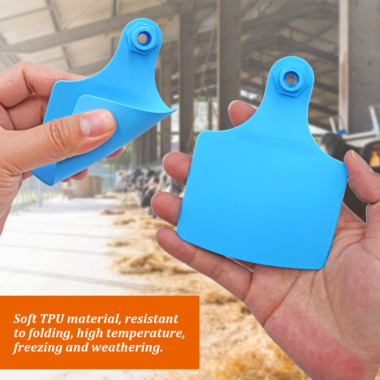 100 Rinderohrmarken Blanko - Übergröße Für Kühe & Pferde