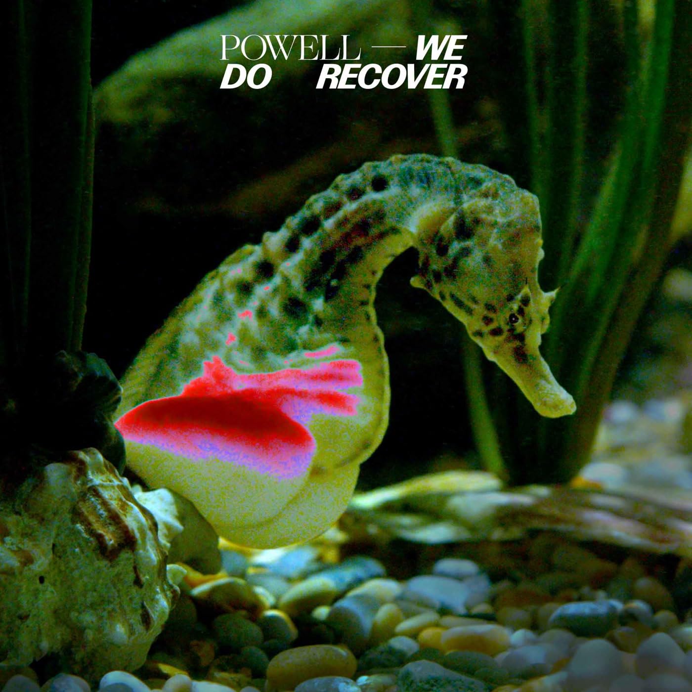 Powell We Do Recover Double LP Vinyl DIAG070 NEW
