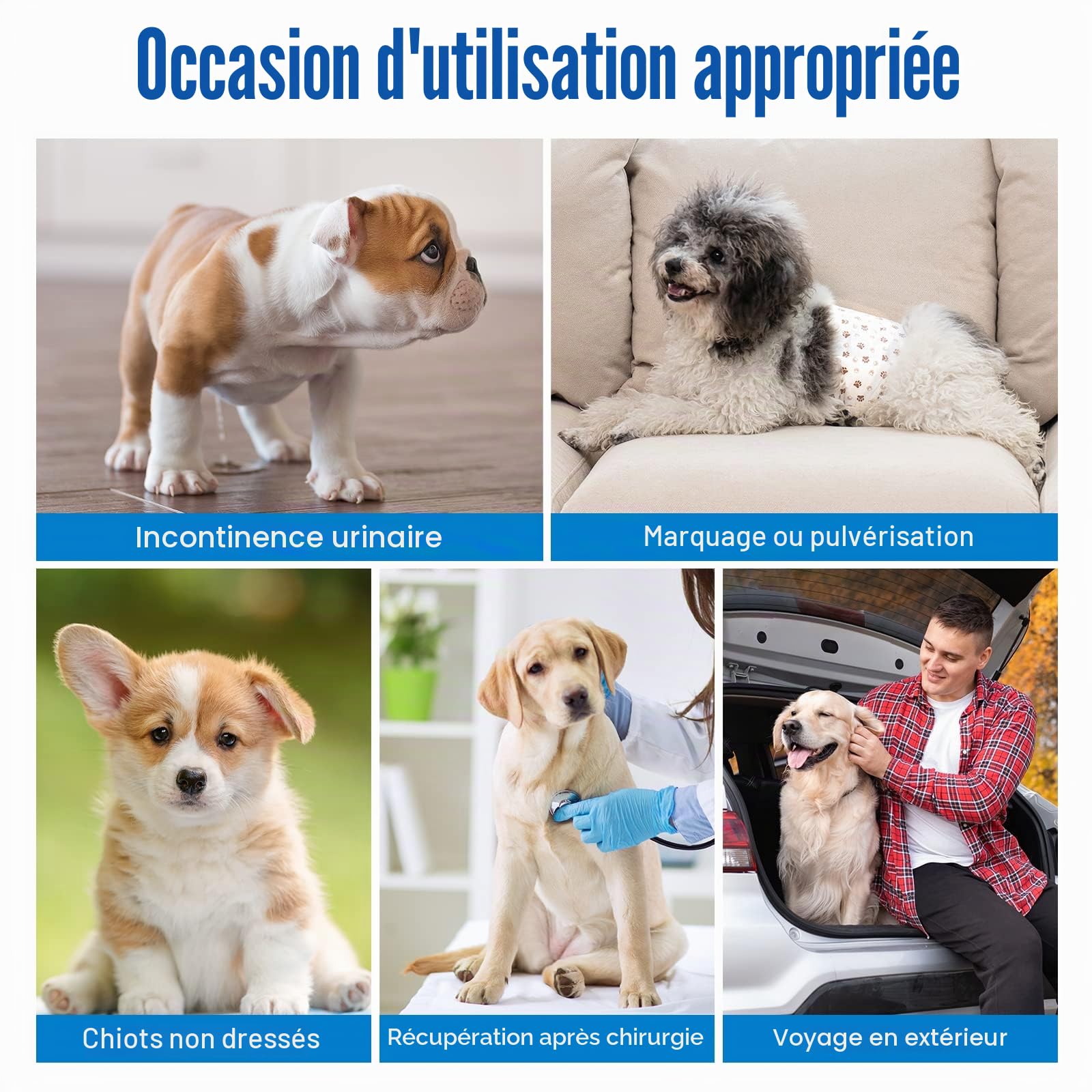 Pet Soft Couche Chien Male, Lot de 20 Couches Jetables pour Chiens Male, Super absorbantes Couche pour Chien Incontinent avec Indicateur d'humidité (S-20 Unité)