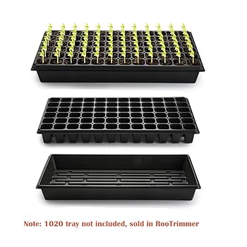 栗まり★ジャイアント★ 71Cm6Eg8wGL._UF350,350_QL80_.jpg