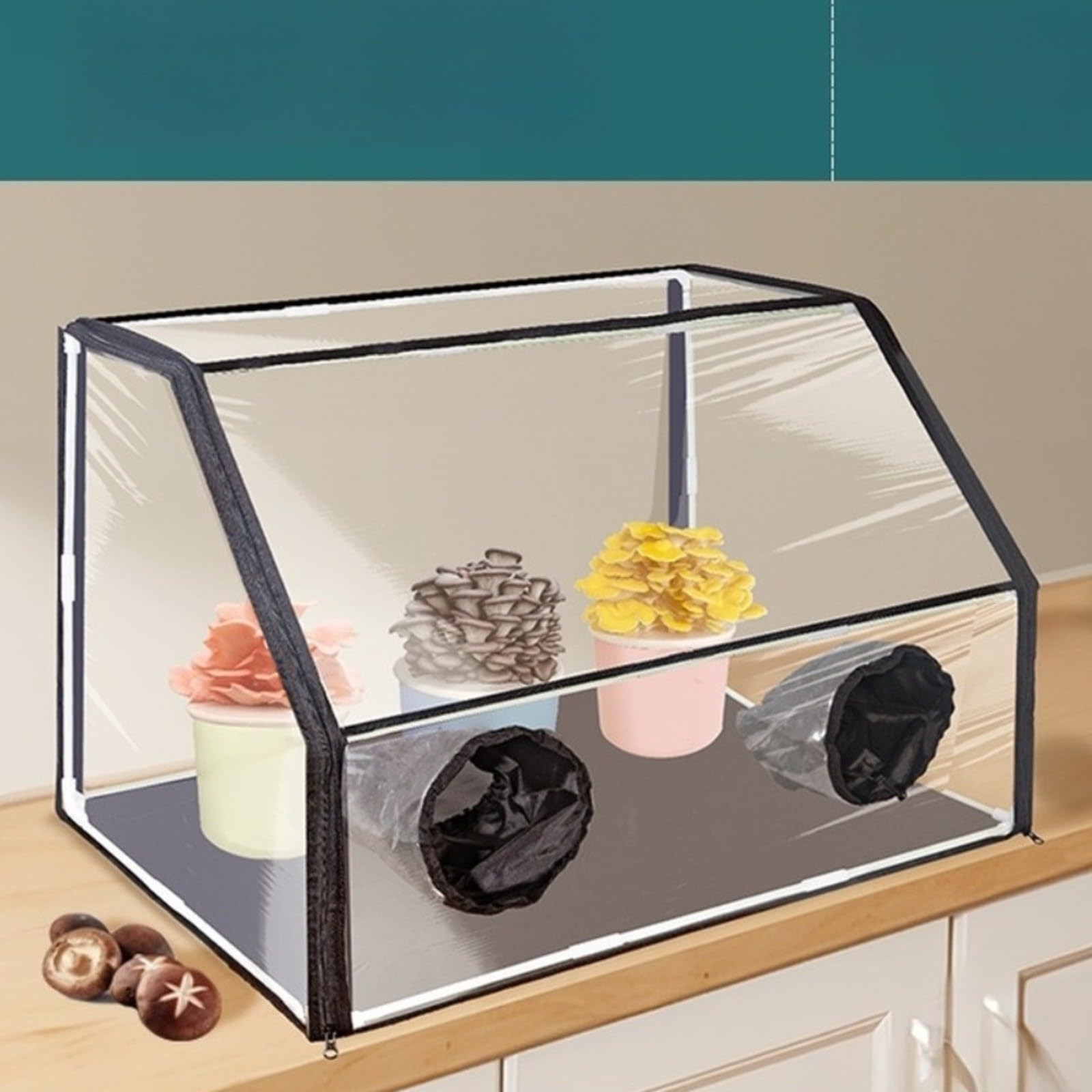 Faltbare Pilz-Beobachtungsbox, transparentes Wachstumszelt mit Belüftungsöffnungen, verstellbare Hülse, 60x40x40 cm