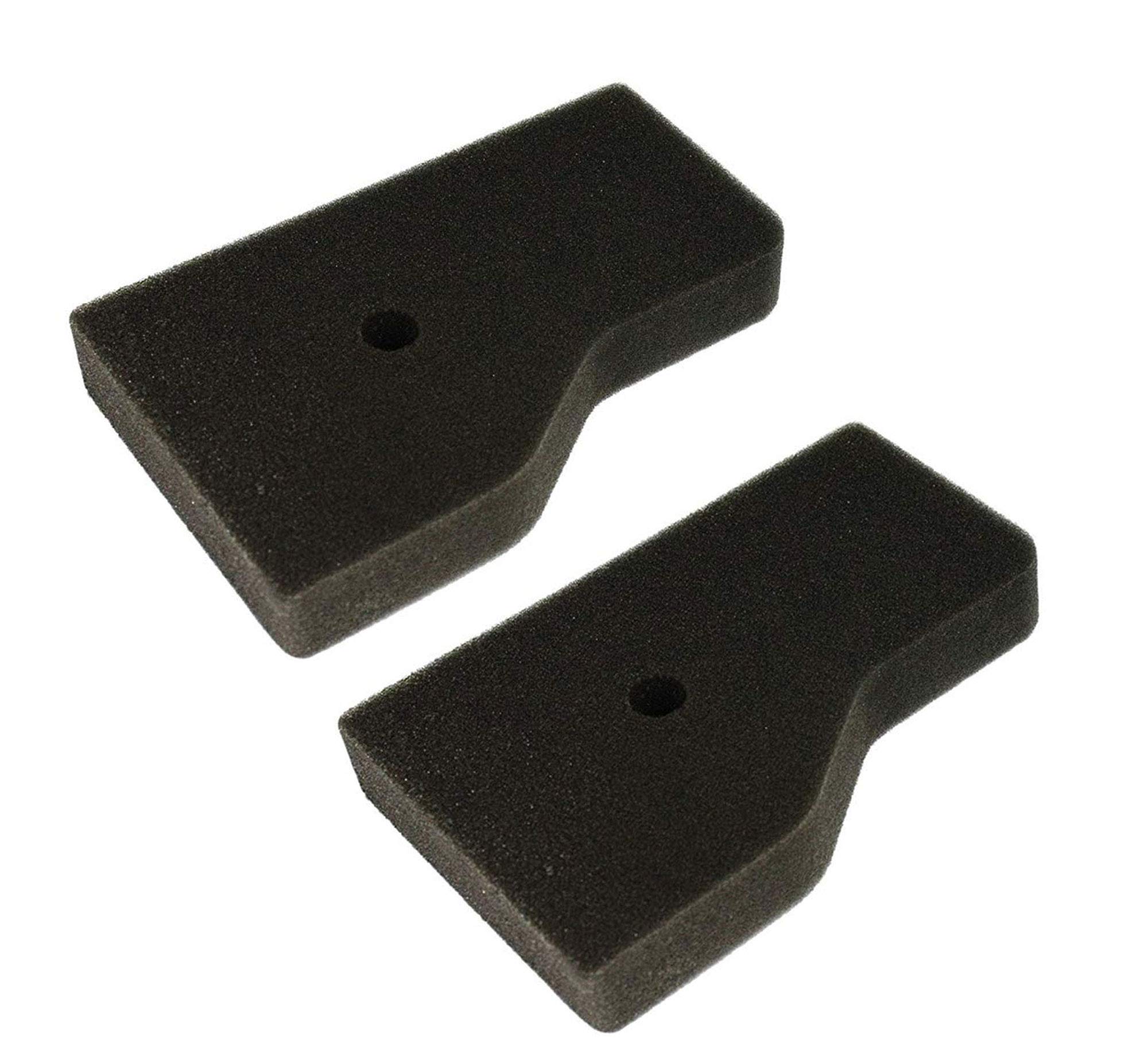 Honda 17211-Z07-000 PK2 Air Cleaner Elements