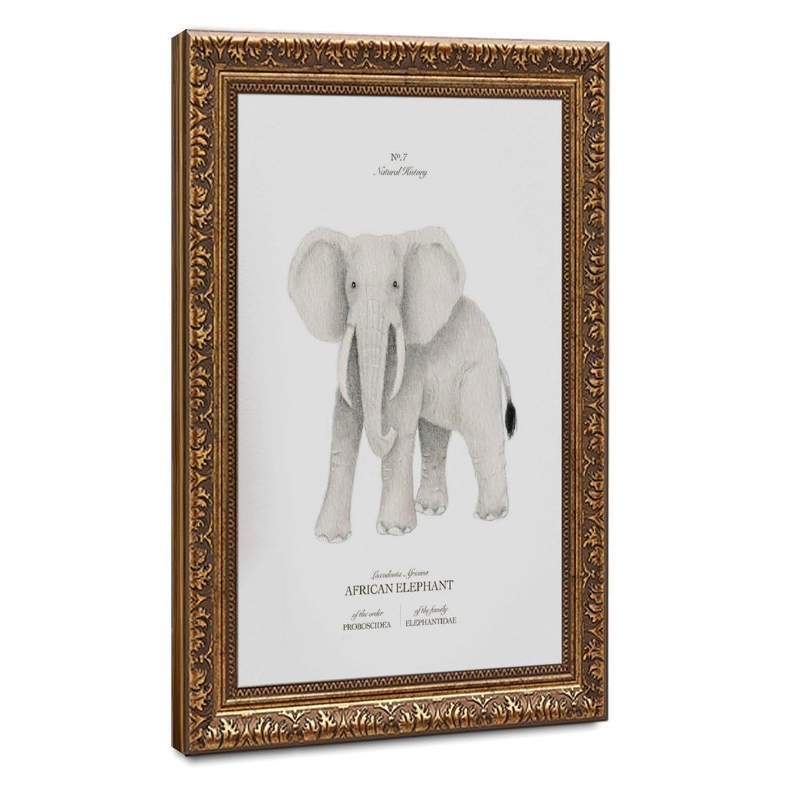 Bareronor African Elephant Poster Canvas Poster Bedroom Decor Landscape Office Room Decor Gift 24" L X 36" W