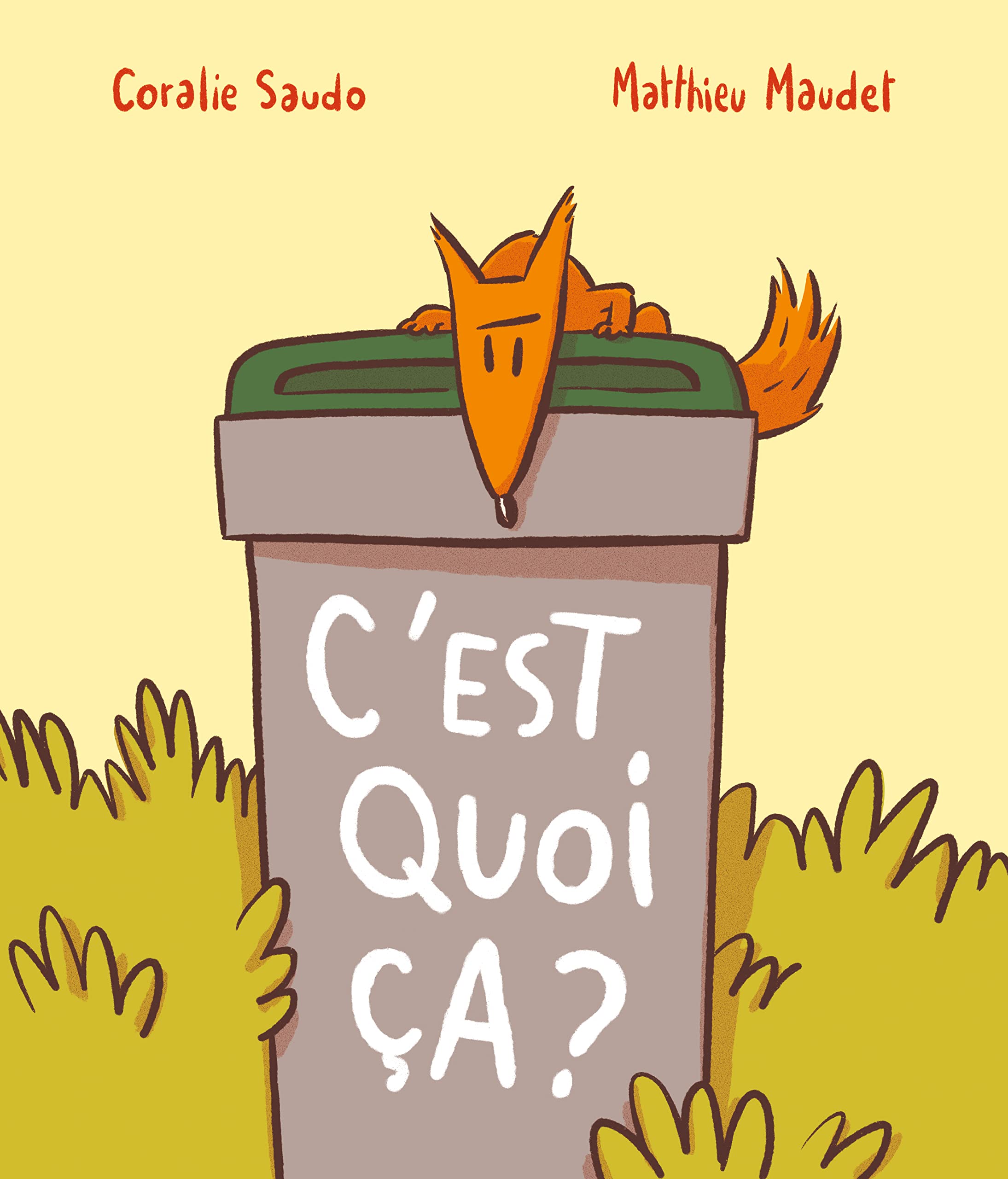C'est quoi, ça ?