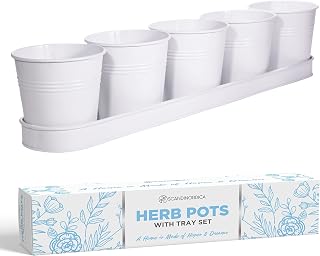 SCANDINORDICA White Herb Planter 5 Pots with Drainage Holes and Tray, Windowsill Planter, Indoor/Outdoor Herb Pots
