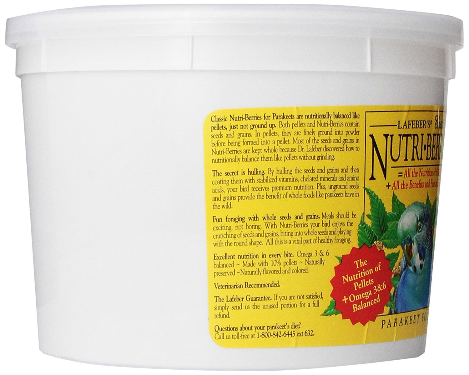 Mealworms Live 250 Small for Reptile, Birds, Chickens, Fish Food by Abdragons