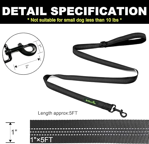 Miniatura 7 de Divisor de dos correas para perros con correa de nailon de 5 pies