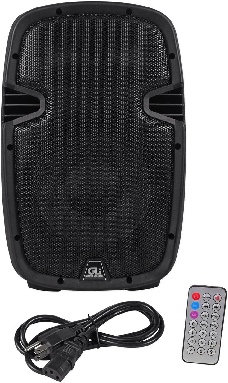 Punch 10 USB 10" 1000 Watt Active/Powered DJ Speaker + USB/SD PUNCH10USB