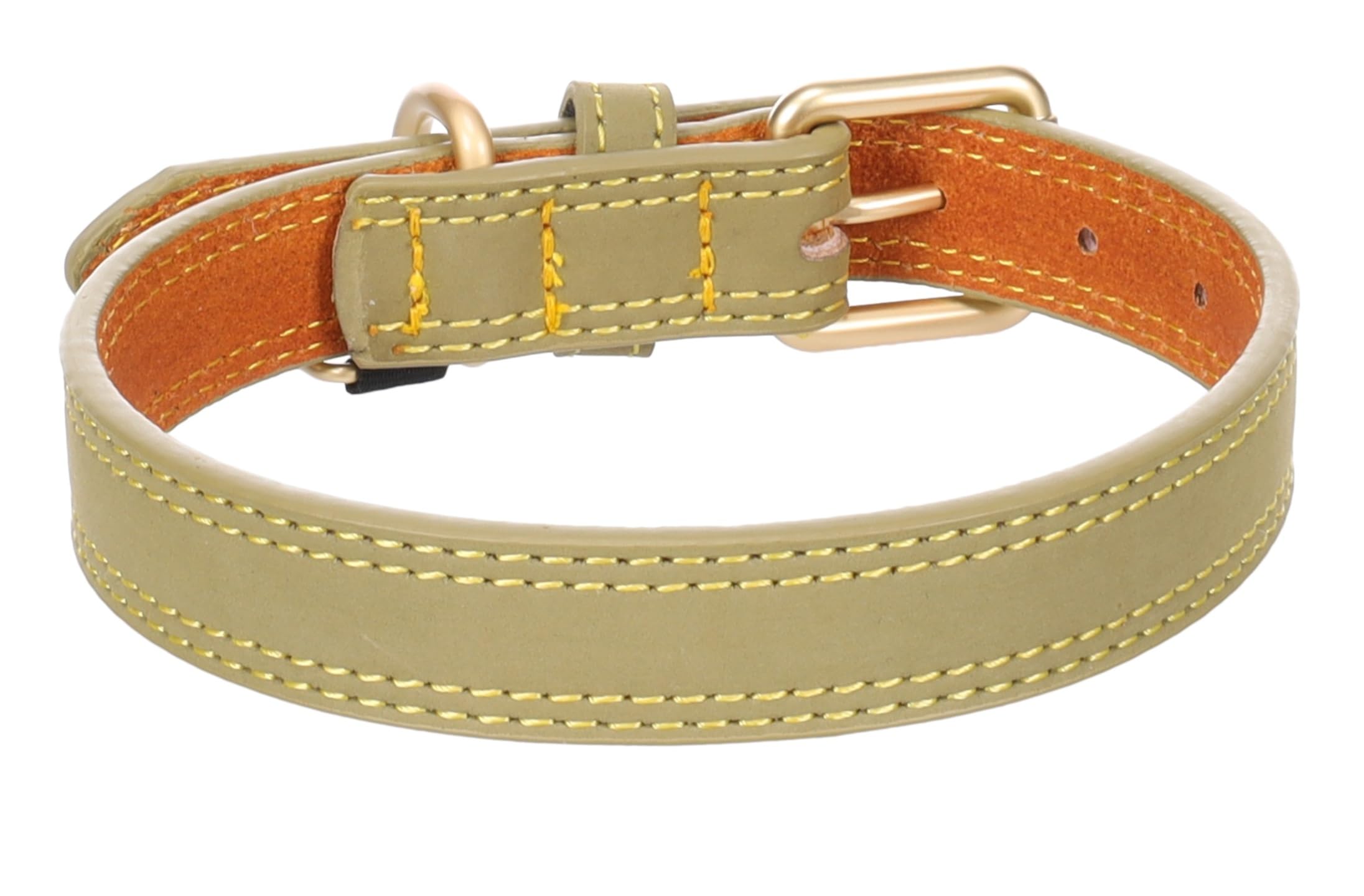 Collier pour chien en cuir vert L 43-53cm réglable grand chien collier Virginia 25mm
