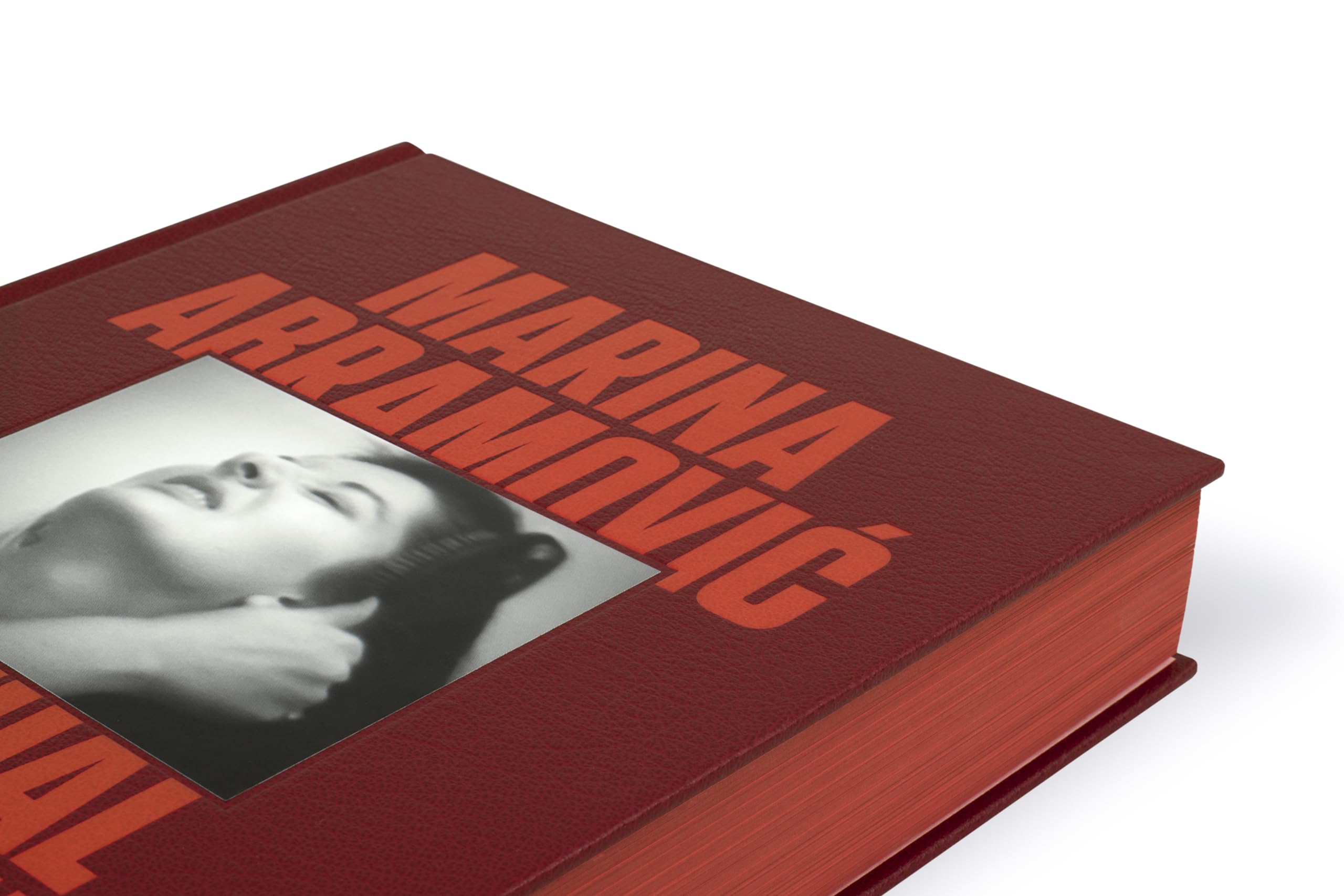 Marina Abramovic A Visual Biography /anglais