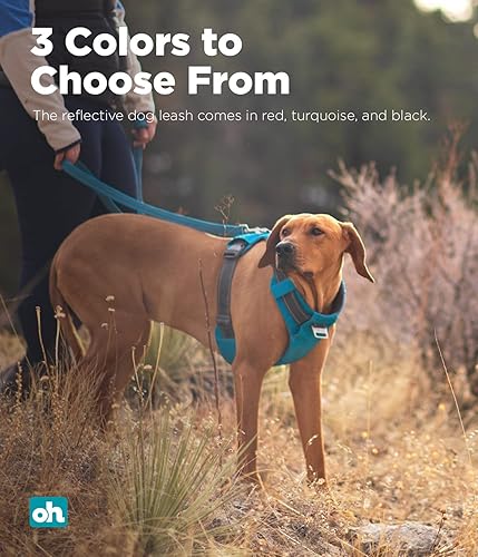 Vista 27 de Outward Hound Boulder Adventure - Arnés ajustable para perro con bolsillos, turquesa, mediano