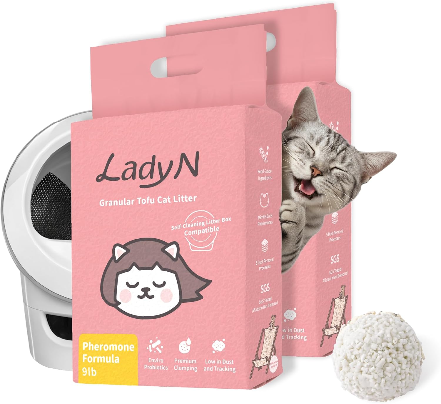 Lady N