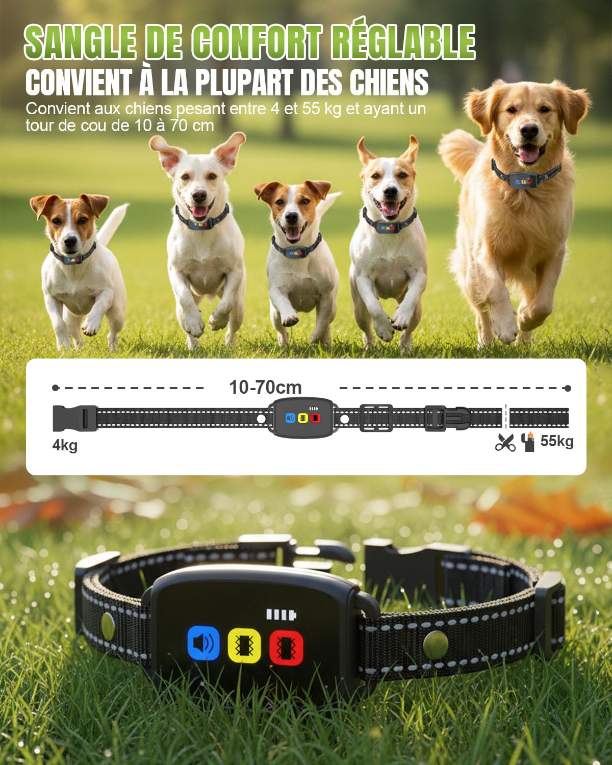 Collier de Dressage pour Chiens Rechargeable avec Télécommande, Bip, Vibration, Forte Vibration, Portée 800m, Étanche IP67, Collier Éducation Chien, pour Petits et Grands Chiens (8-120 lbs)