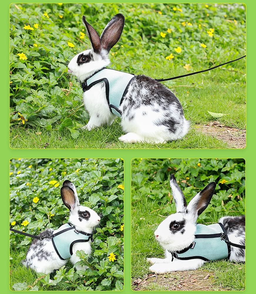 Kiwochy Adjustable Soft Rabbit Harness with Lead Mesh Rabbit Harness Hamster Vest Pack of 2 Rabbit Harness for Cats Rabbits Running Walking Jogging Harness Outdoor M - Image 3