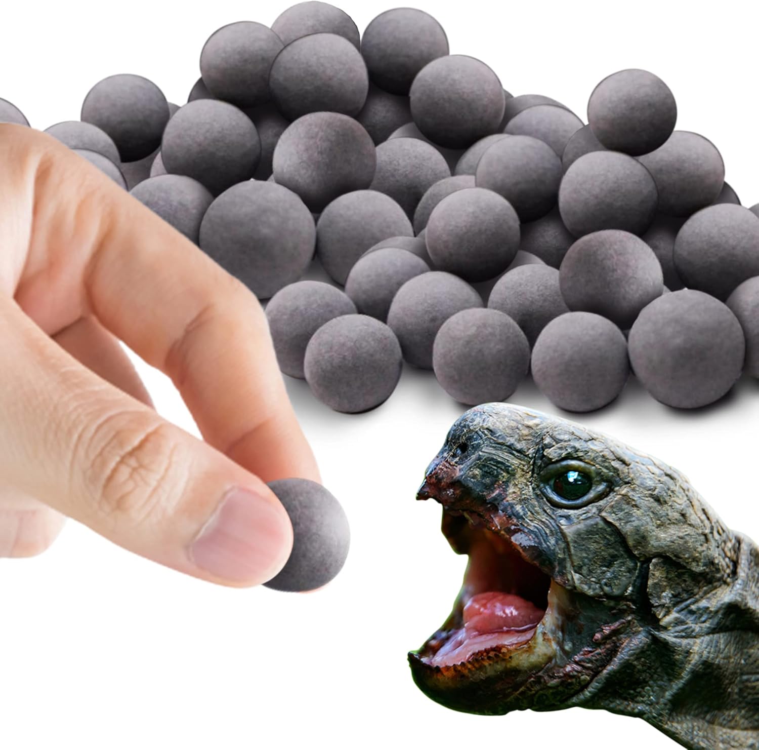tortoise calcium supplement