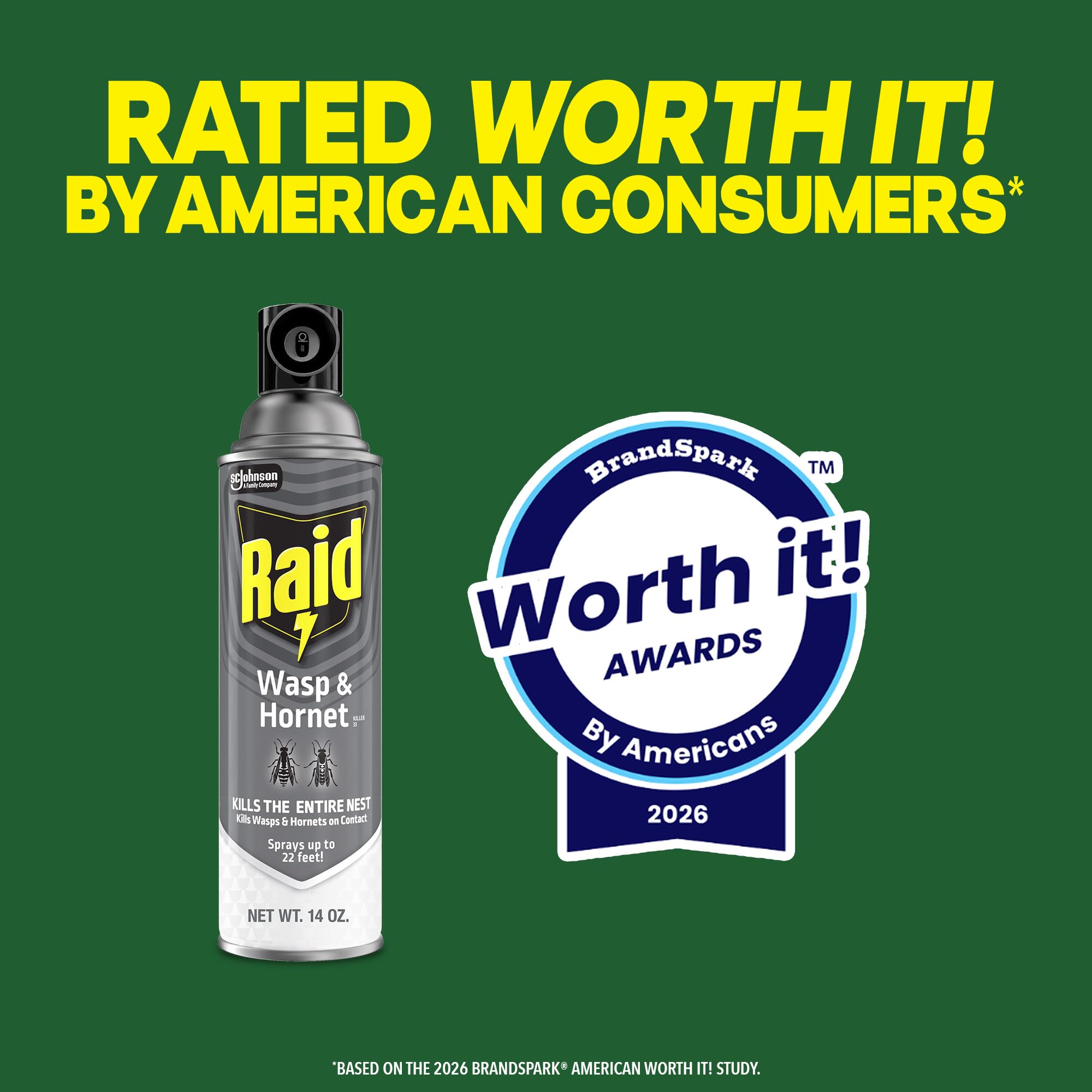 14 oz 2 Count Wasp & Hornet Killer Bug Spray Y7290