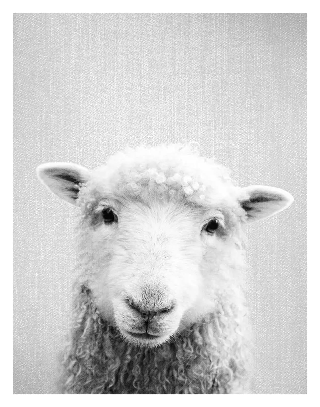 Tableau moderne d'ours et renard sur toile premium, décoration murale monochrome de salon
