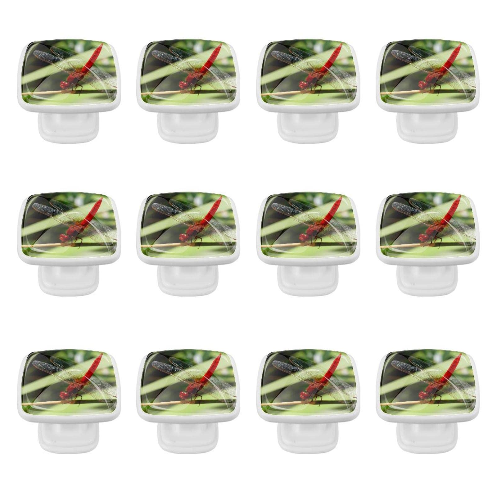 Boutons de quincaillerie d'armoire libellule en lot de 12 pour tiroirs de commode