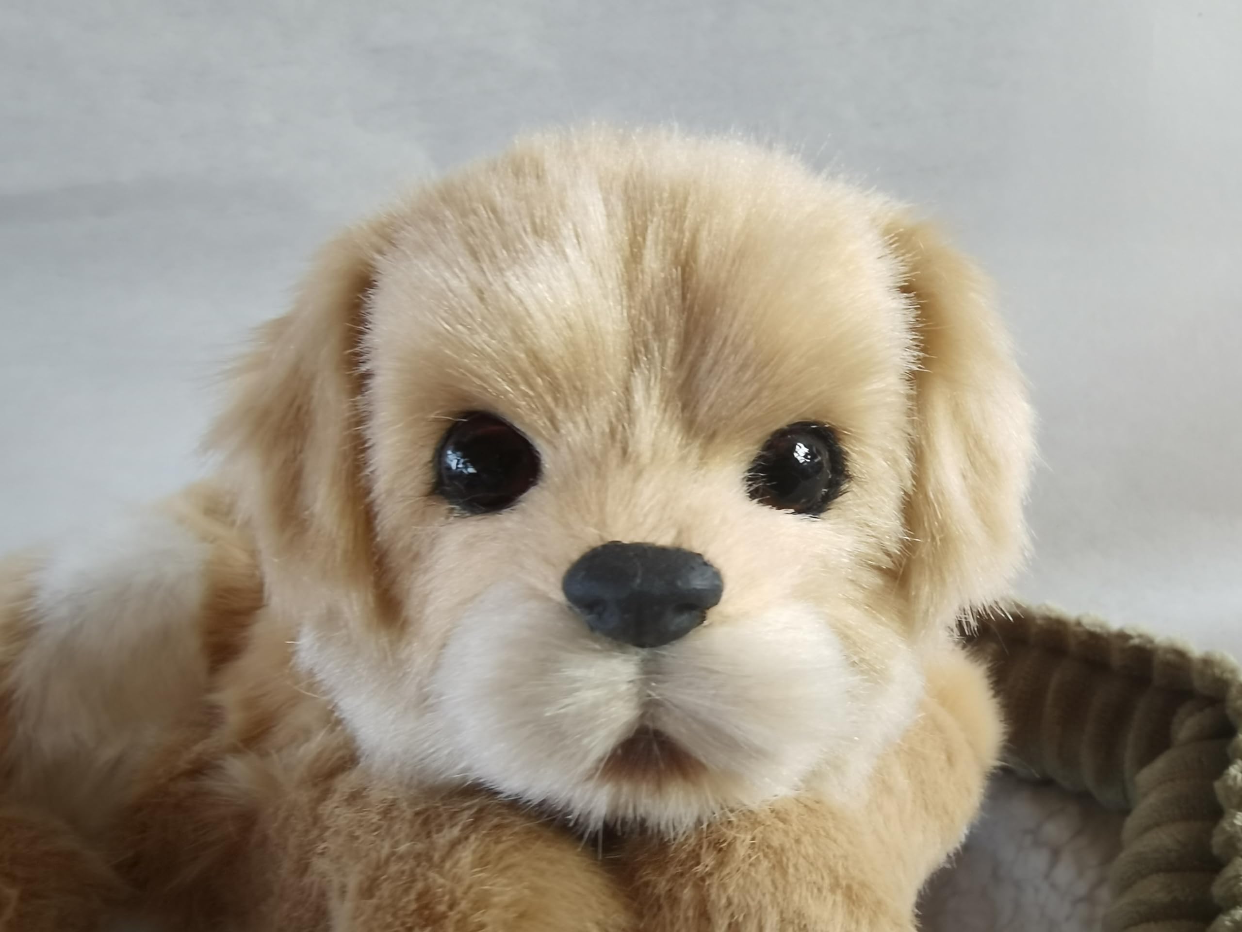 PawFection Pets Golden Retriever Dog, Realistic, Lifelike Stuffed Interactive Nodding Pet Toy, Companion Pet Puppy with 100% Handcrafted Synthetic Fur - Image 2