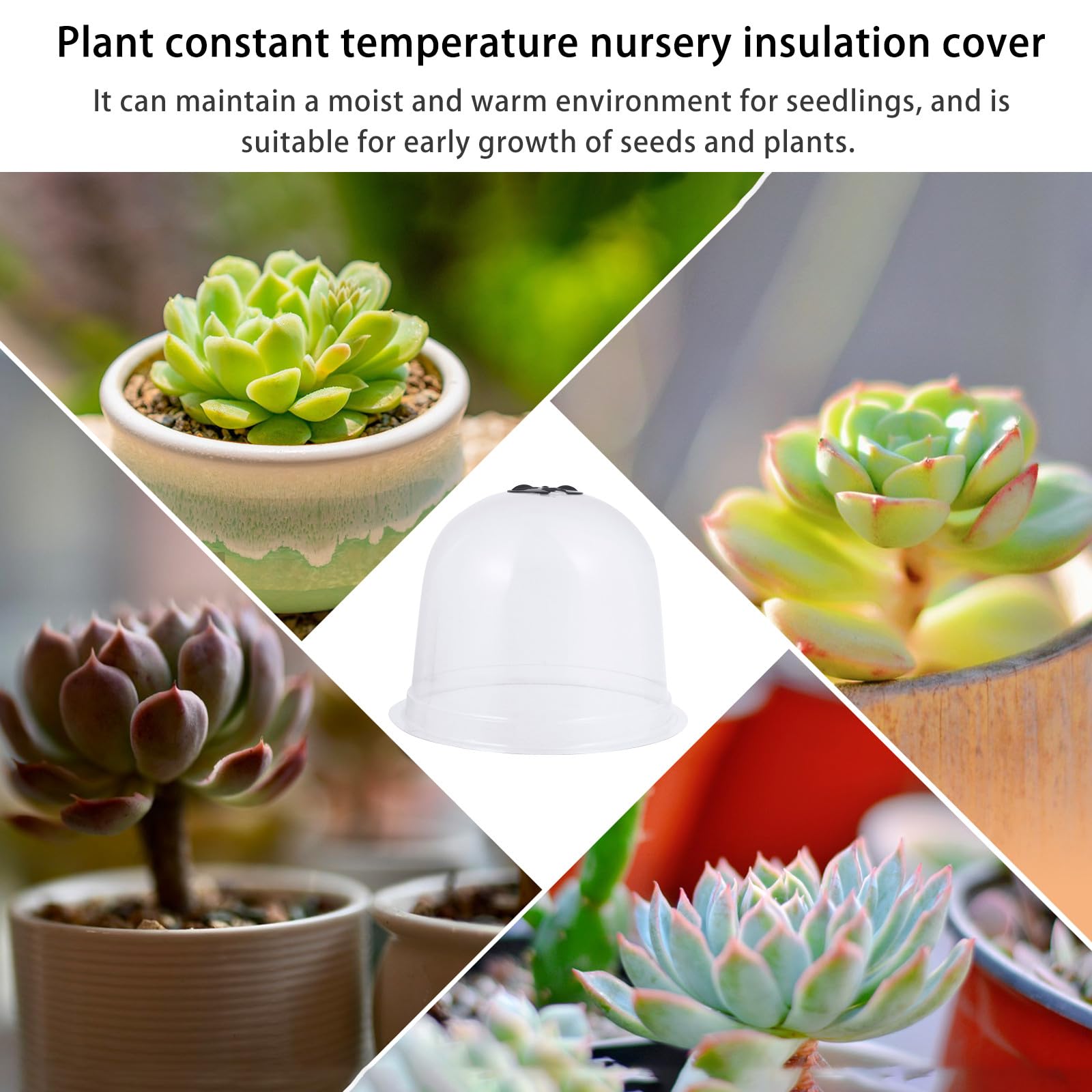 6 pièces Lot Cloches de Protection pour Semis avec Piquets de Fixation Sol et Étiquettes Housse Plastique Respirante pour Plantes Protection Gel et Froid Couleur Aléatoire
