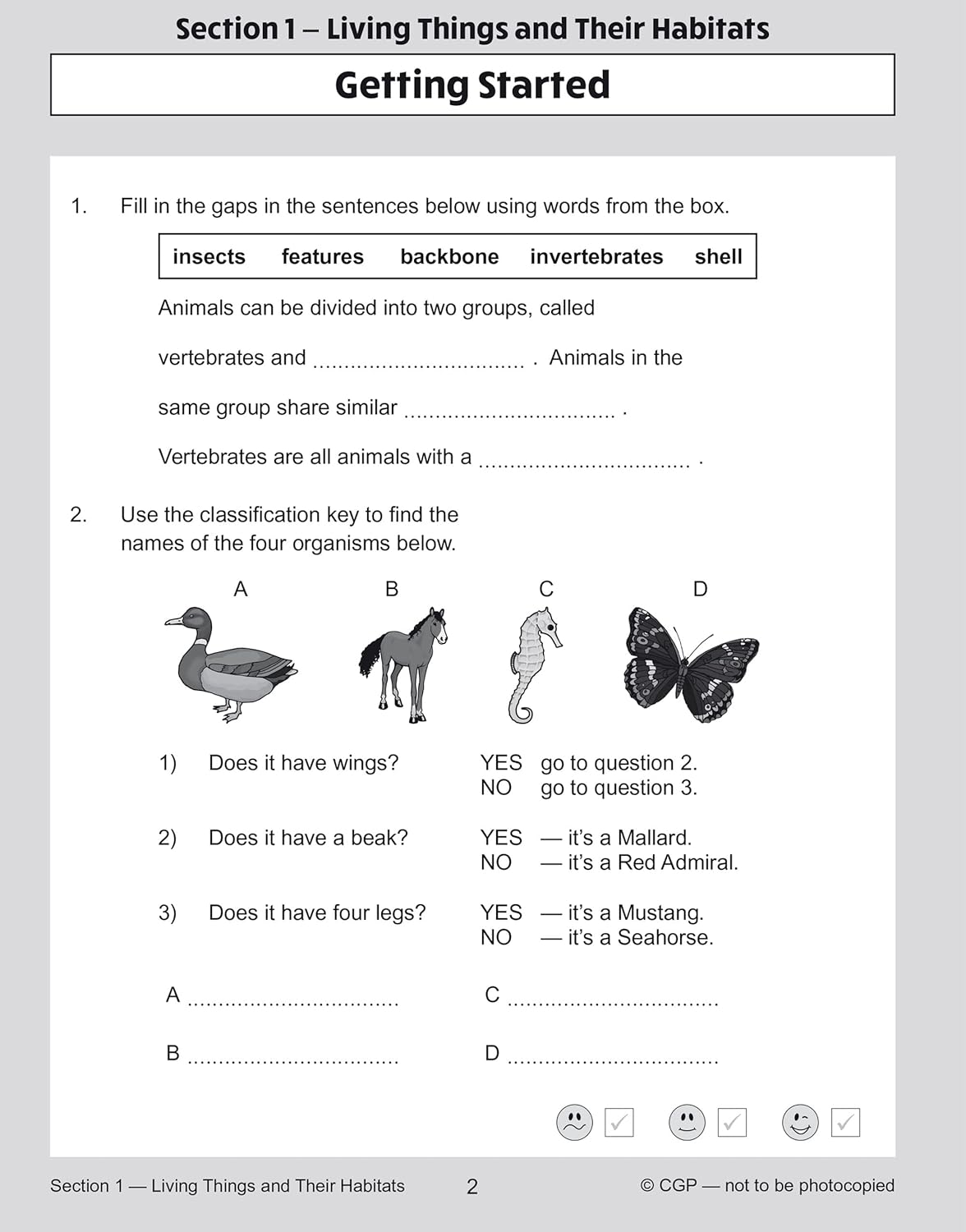 KS2 Year 6 Science 10-Minute Tests (CGP Year 6 Science) 6 71Cmfii3weL. SL1500