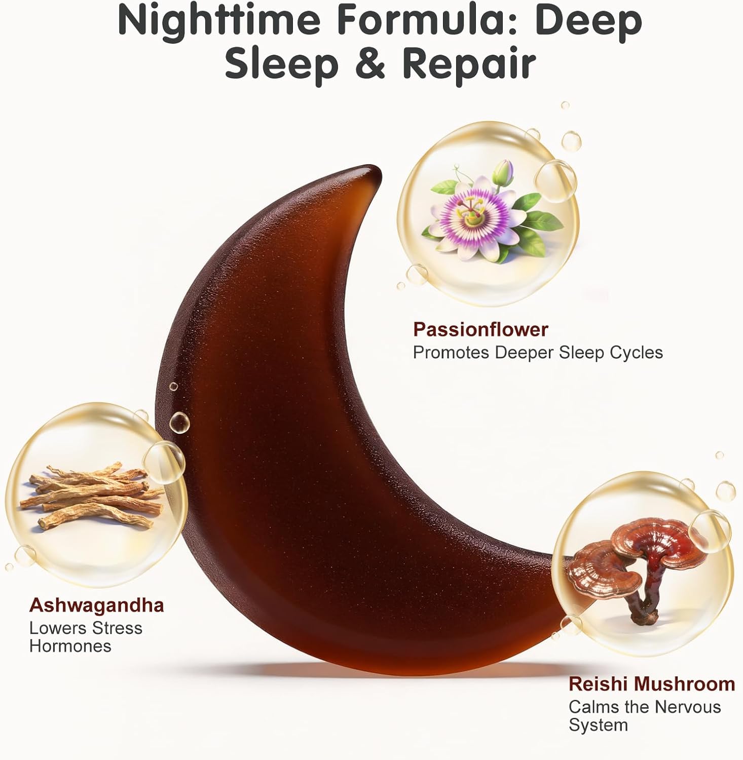 Simlike Mushroom Gummies Supplement for Sleep and Energy with Ashwagandha & Lion's Mane, Day & Night Routine,Elderberry Flavor, No Sugar (30-Day Supply)