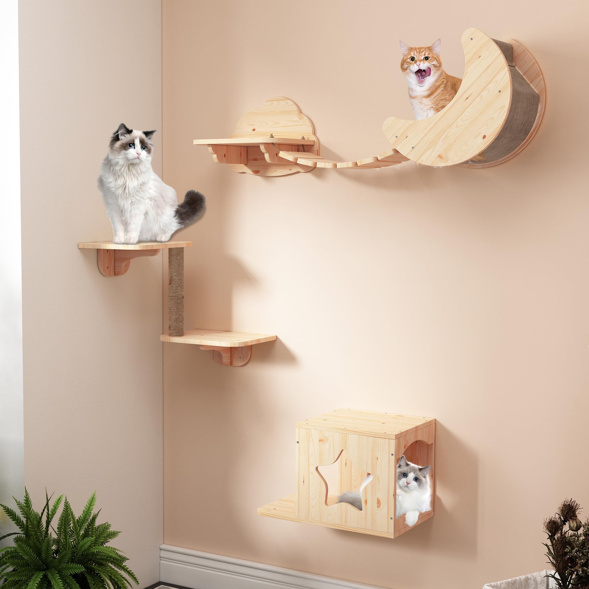 Amazon.com : Felivecal X-Large Cat Space Capsule Bed with Two Pedals ...