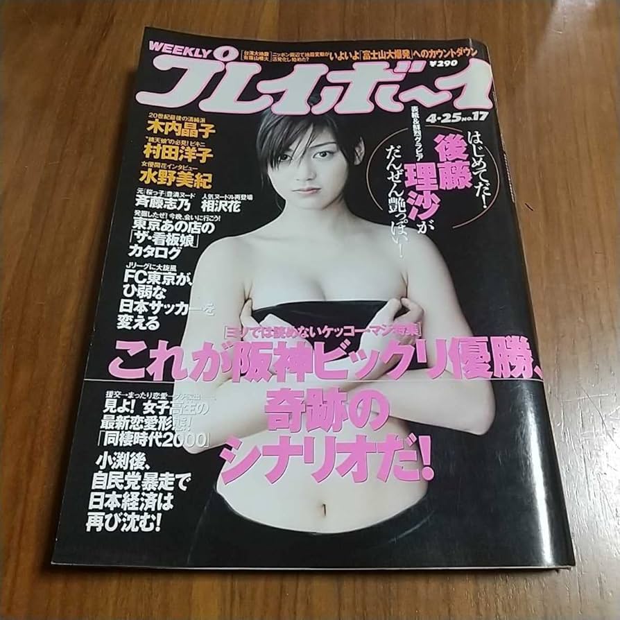 月刊プレイボーイ 2000年以前23冊セット。総て美本です。 月刊プレイボーイ 2000年以前23冊セット。総て美本です。 Yahoo