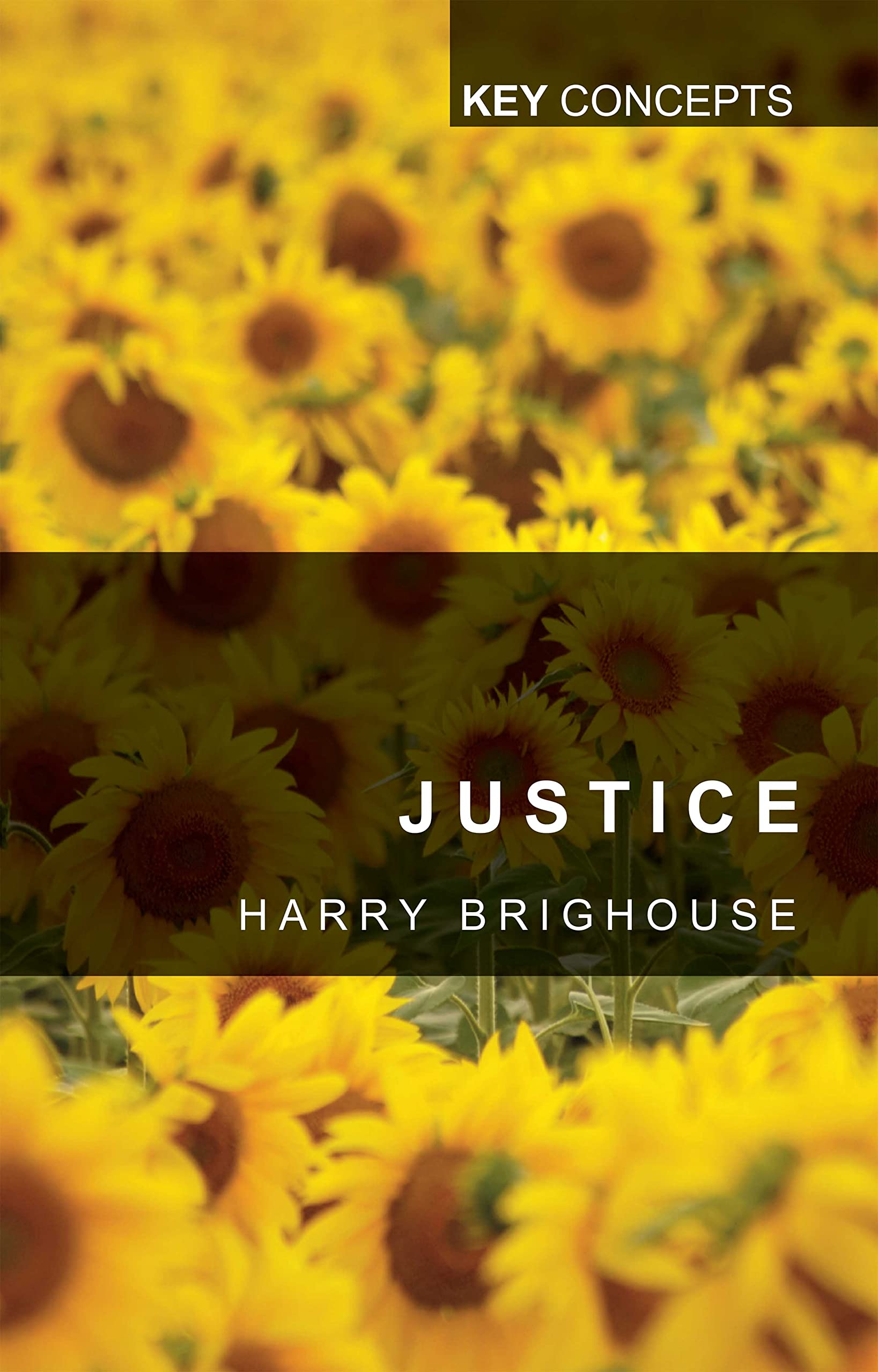 Justice (Key Concepts)