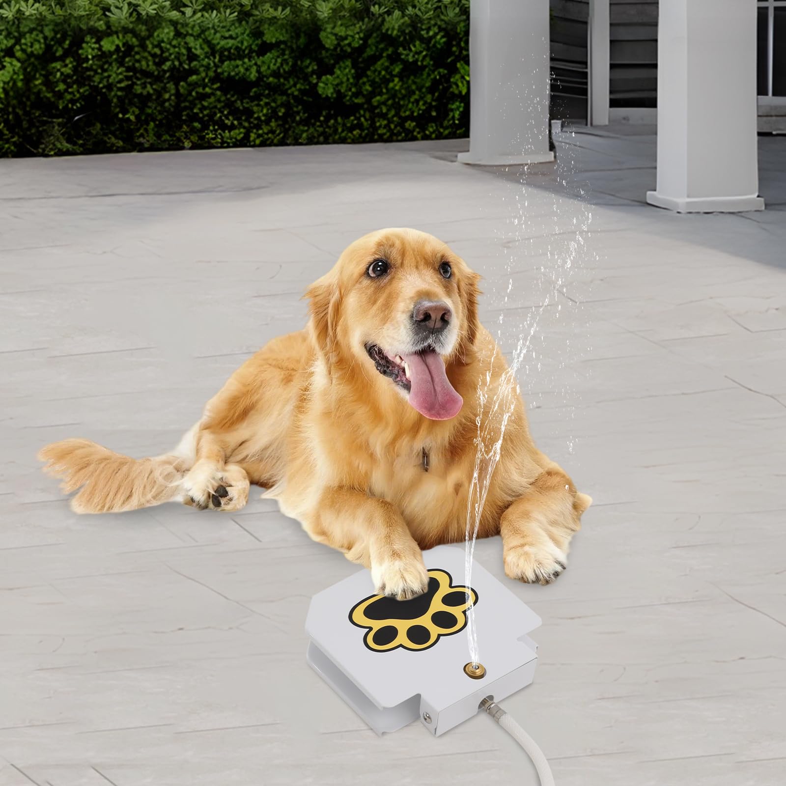Trinkbrunnen für Hund und Haustier, Leicht Aktivierbarer Hunde-Wasserspender mit Schlauch, Step On Spielzeug mit Gartenschlauch Anschluss, Outdoor Pfoten Aktivierter Trink Haustierspender