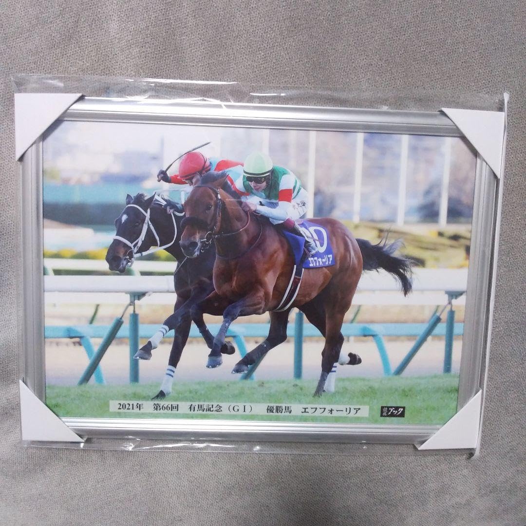 1977年有馬記念写真パネル 1977年有馬記念写真パネル