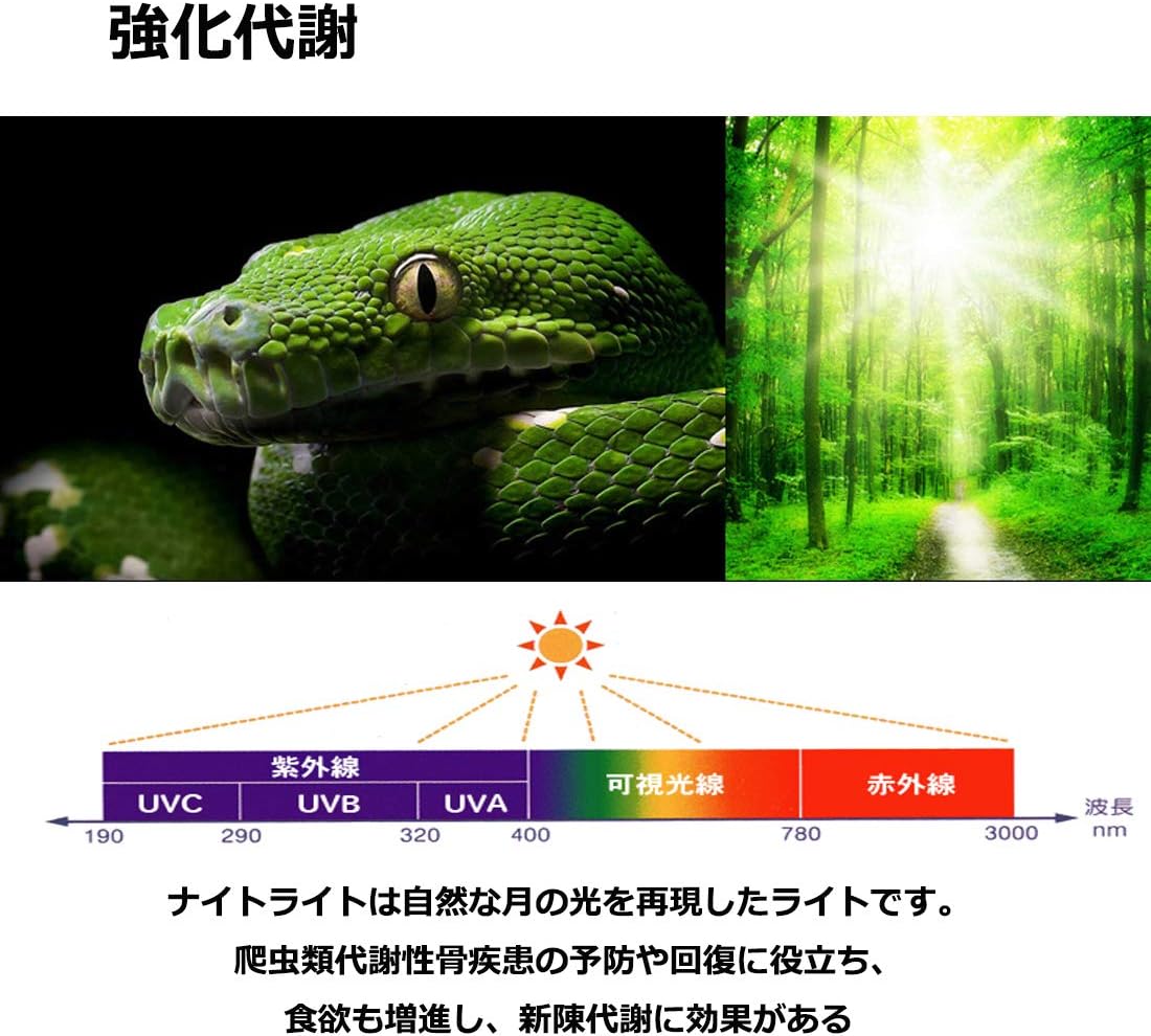 Amazon Nomoy 爬虫類ライト 亀 ナイトライト ムーンライト 両生類照明 夜用 強化代謝 電流安定 E27口金 100w Bonheur ライト 照明 通販