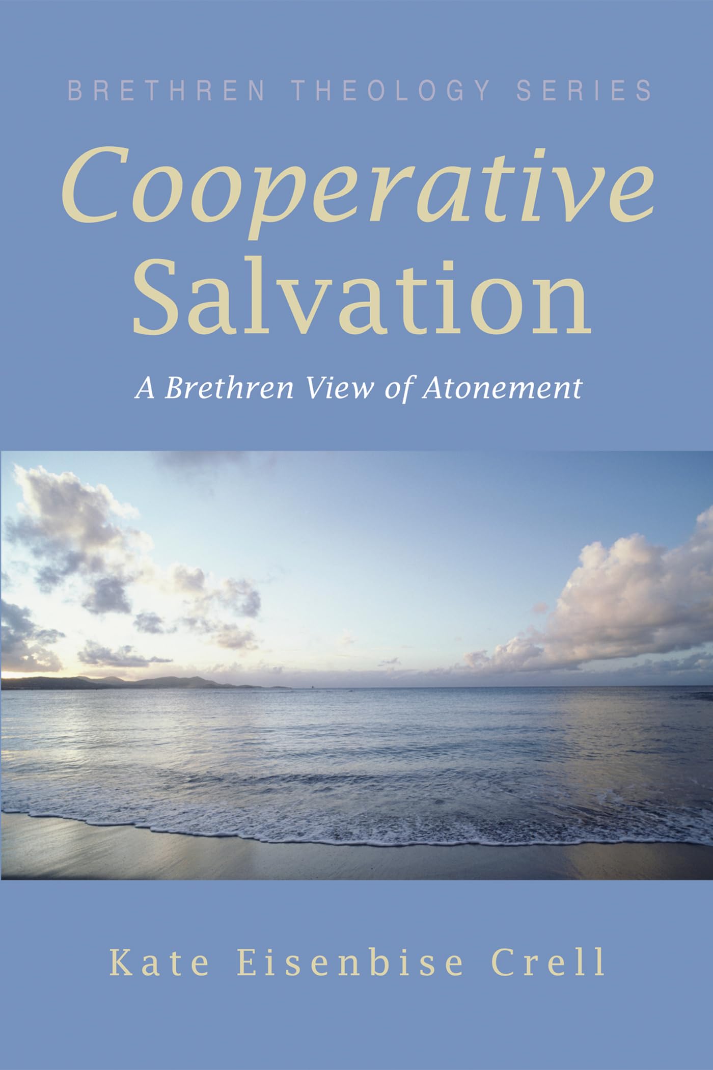 Buy Cooperative Salvation: A Brethren View of Atonement — BookShops.in