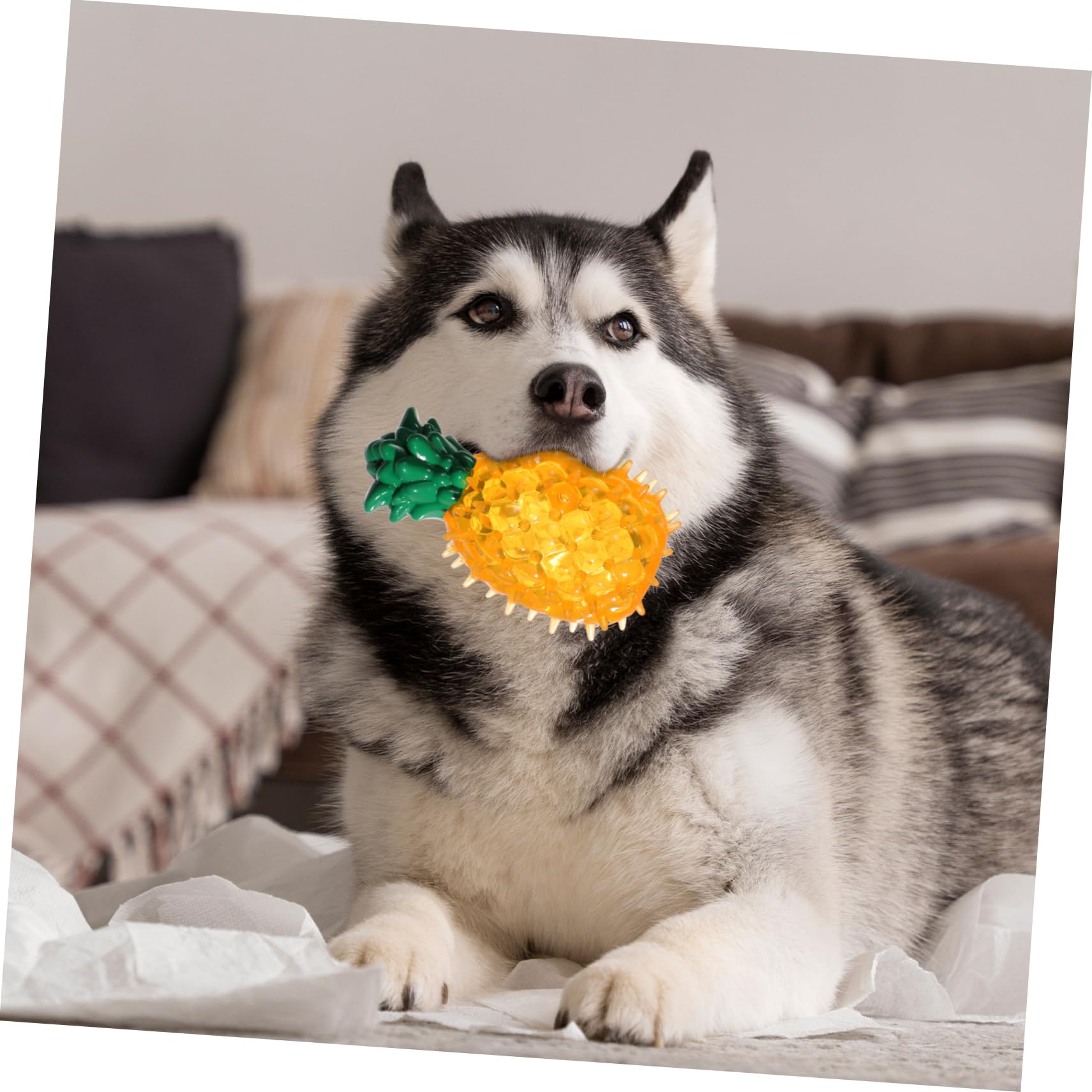 Toddmomy 6pièces Jouet à Mâcher pour Chien Forme De Fruits Jouet De Congélation pour Chiens pour Teething